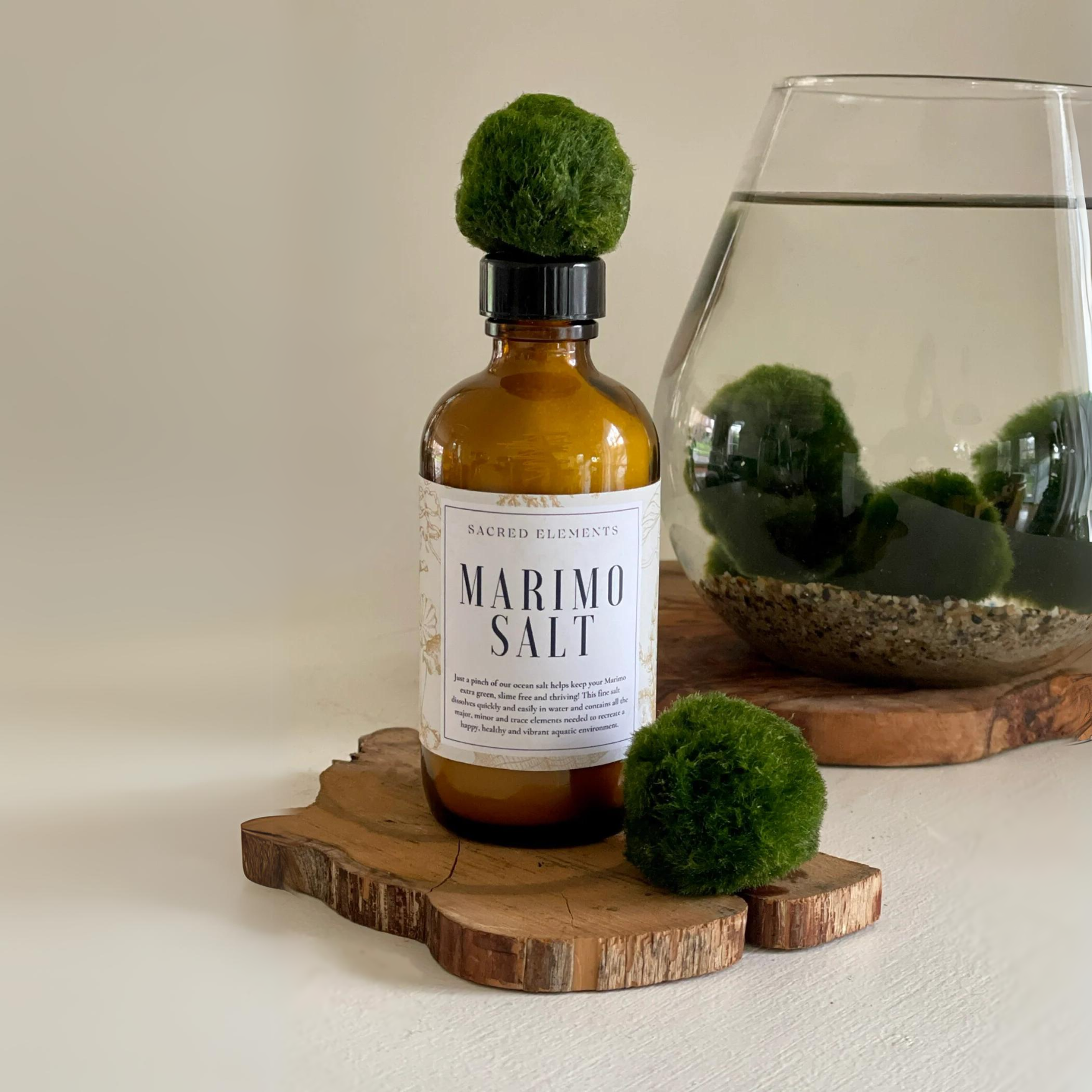 marimo Marimo Salt (4oz) | Gloriousgreenhouseplants.com